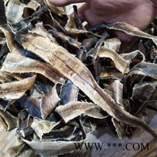 地龙 海南大地龙基本全开货 产地 海南省图3