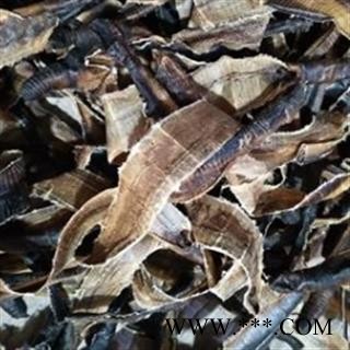 地龙 海南大地龙基本全开货 产地 海南省图2