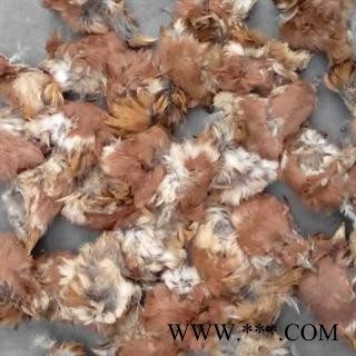 世元药业 雀脑 麻雀脑 雀脑袋 正品 麻雀头图3