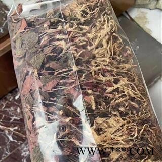 金线莲整株台湾品种红霞无硫 2022年新货足干专注品质诚信信邦图3