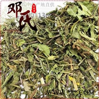 蒲公英 灯笼草 统货 优选品质 产地直供 邓氏中药批发图4