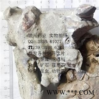 世元药业 石蟹 正品 石螃蟹 螃蟹化石 蟹化石 大石蟹 灵石蟹图2