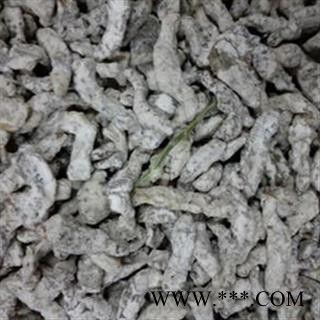 僵蚕 僵蚕  断面玻璃茬 产地 广西壮族自治区图2