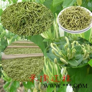 金银花 金银花青花精选货 产地 山东省图2