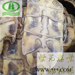 世元药业 生龟板 正品 批发花草茶参茸调料昆虫动物化工冷背药图2