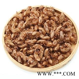 蝉蜕 纯净货 保证无土无渣 不掺假 山东产地 自家收购 便宜出售图3