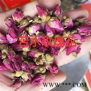 玫瑰花 甘肃苦水玫瑰王 产地 甘肃省图3