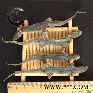 壁虎统个 产地广西 爬山虎 药典标准 地道良药馆500克直销图3