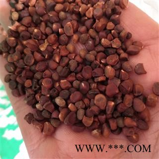 新辉药业中药材营实 蔷薇子 野蔷薇子 石珊瑚图2