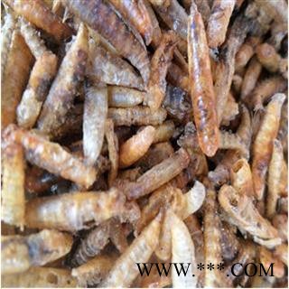 五谷虫 统 代加工超细粉 产地 浙江省金华市市辖区图2