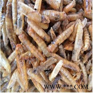 五谷虫 统 代加工超细粉 产地 浙江省金华市市辖区图3