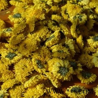 安祁名药菊花 黄山贡菊图2