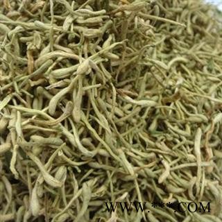 金银花 统 产地 山东省 双鹏药材行 可提供打粉图3