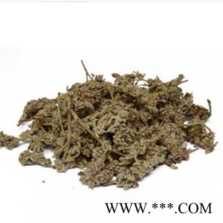 蒙花 统 产地 四川省阿坝藏族羌族自治州金川县图3