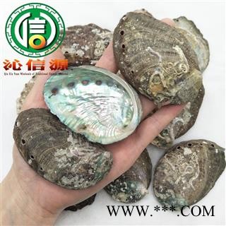 【满包邮】石决明个子统货散装浙江产地直供九孔石决明沁信源中药材批发图3