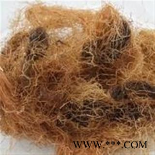 诺源药材行新货玉米须  龙须 玉米须茶图3