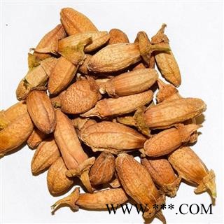 新辉药业佛手花 广东肇庆图2