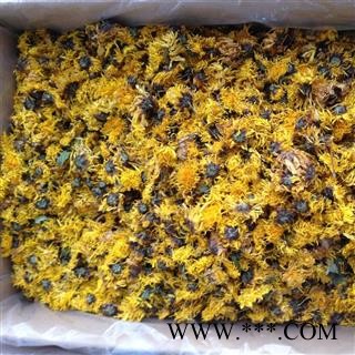 新辉药业优质菊花 杭黄菊  杭白菊图3