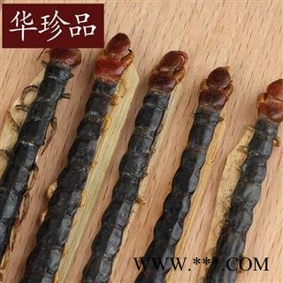 蜈蚣 18 蜈蚣肉 统  产地 海外图3