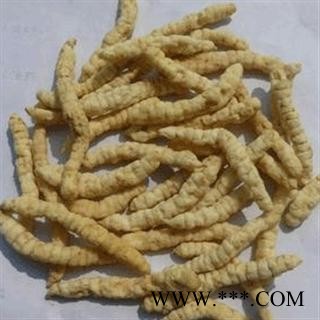 地蚕 草石蚕 干石蚕 甘露儿 批发中药材 花茶 代加工超细粉 产地 安徽省淮北市濉溪县图3