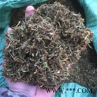 金银花 山银花 山二花  野生金银花  产地 河南省图4