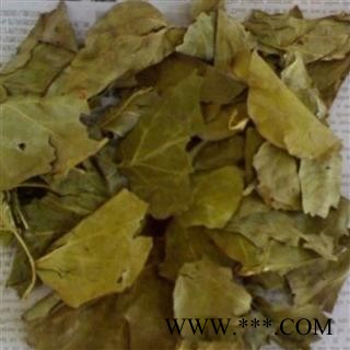 煜庭药业 丁香 丁香叶图4