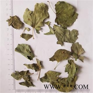 煜庭药业 丁香 丁香叶图2