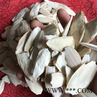 海螵蛸 小海螵蛸 产地 广西壮族自治区图2