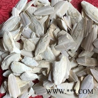 海螵蛸 小海螵蛸 产地 广西壮族自治区图3