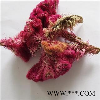 鸡冠花  浙江货 含量高 无杂质 选货  新货  产地 浙江省宁波市图2