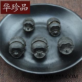 大将军 01 蜣螂 统 产地 四川省成都市市辖区图2