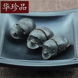 大将军 01 蜣螂 统 产地 四川省成都市市辖区图4