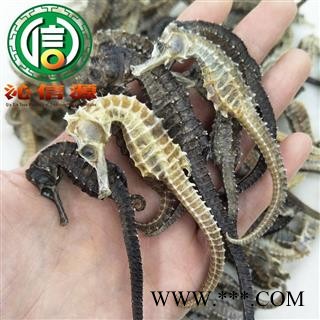【满包邮】清水海马平均3~4克每条散装广东产地直供沁信源中药批发图3