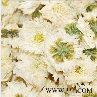 贡菊花 统 产地 亳州药市 库存 100图3