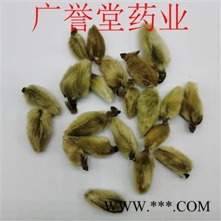 辛夷花 统 产地 河南省图2