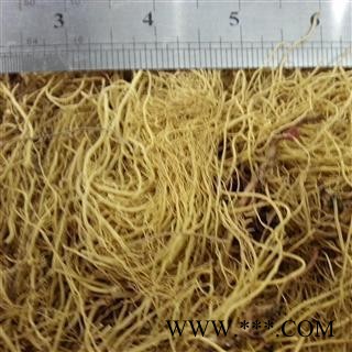 细辛 水洗 纯干 颜色好 产地 辽宁省图2