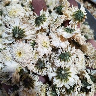 菊花 产地直销贡菊花太阳花新货颜色白干度好一袋500克 产地 安徽省图2