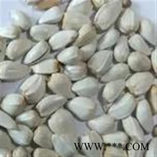 诺源药材行新疆正品红花 草红花 草红花籽图3