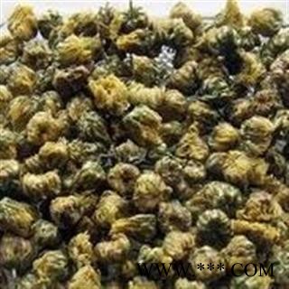 新辉药业胎菊 优质正品图2