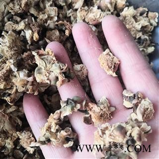 新辉药业扁豆花   南豆花   白扁豆花图3