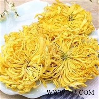 新辉药业优质菊花花茶 金丝皇菊花茶图2