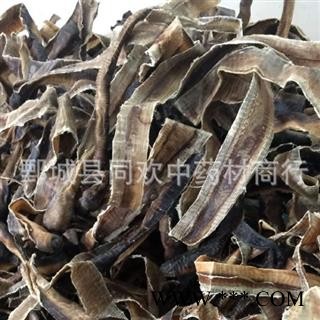 【广地龙半开个】@【同欢药材】中药材批发供应  规格齐全 量大从优  产地 广西壮族自治区图2