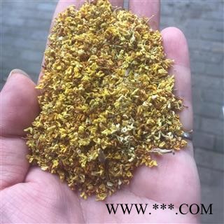 桂花 精选 桂花 产地 广西壮族自治区图3