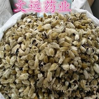 辛夷花 辛夷大桃无柄 好统货  产地 河南省南阳市南召县图2