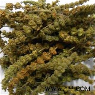 灵吉药业 荆芥穗  产地直销   批发各种规格中药材 花茶 矿石 冷背珍稀野生药材图2