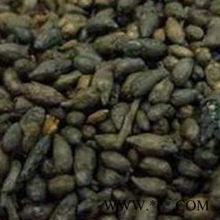 中药材 槐花  正品 优质图2