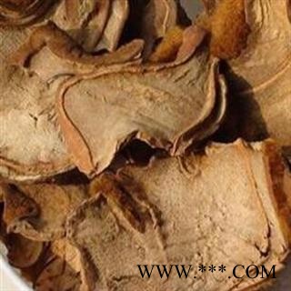 金毛狗脊 精选狗脊生统片 纯干货 产地 广西壮族自治区图2