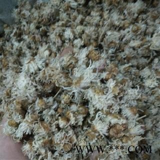 河北小菊花 白菊花 新货质量好价格低图2