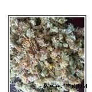 菊花 祁菊花无硫统货 产地 山东省济南市市辖区图2