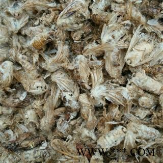 原蚕蛾 精品好统过筛 产地 辽宁省图2